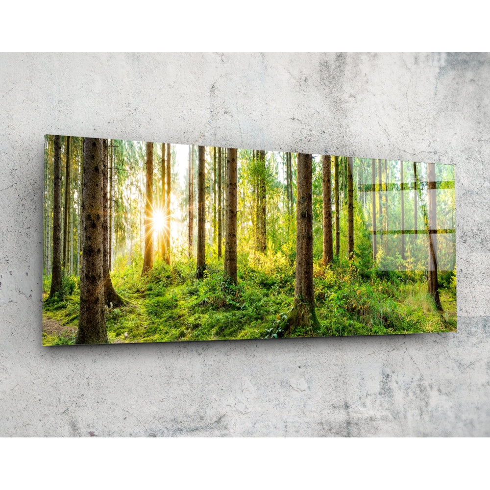 Forest Glass Wall Art (36"x14")