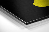 Brushed Aluminium Dibond Wall Art