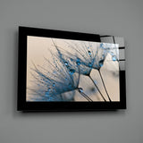 Dandelions Glass Wall Art