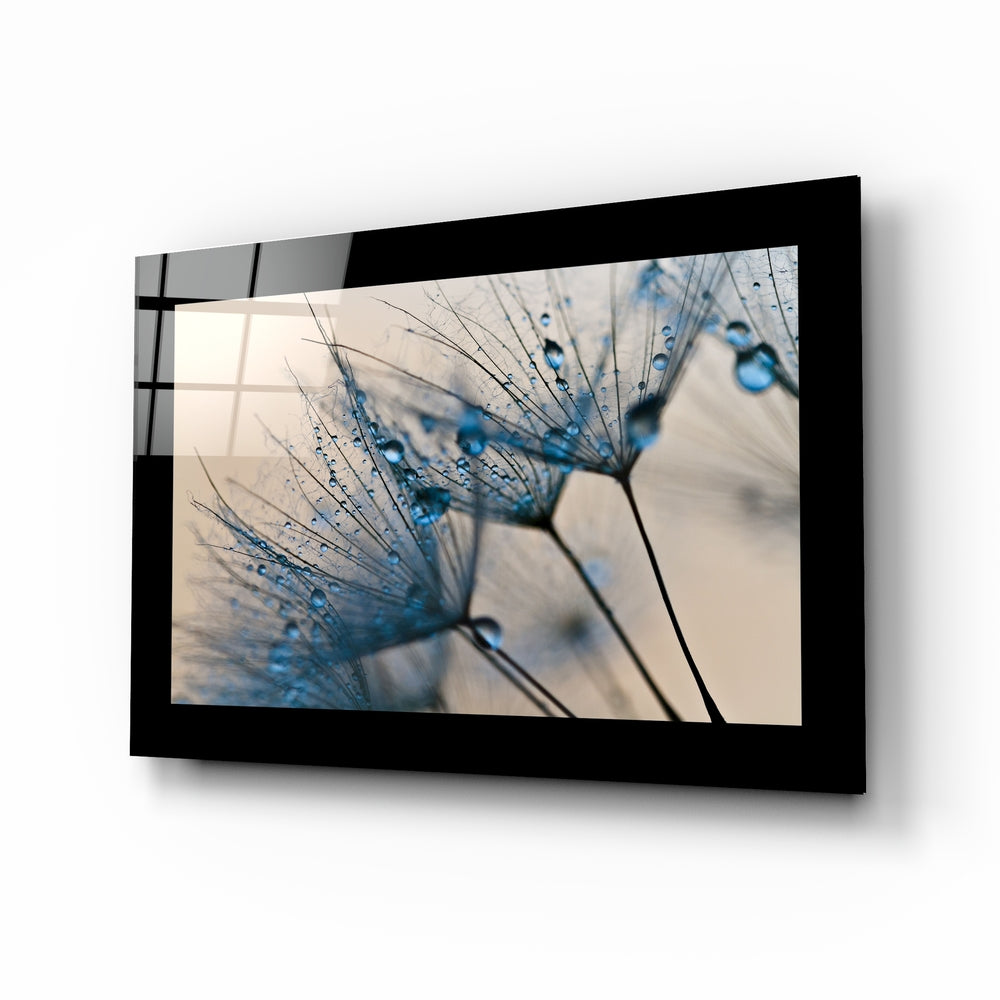 Dandelions Glass Wall Art